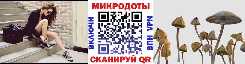 Галлюциногенные грибы Psilocybe Петушки